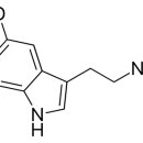 세로토닌 이미지