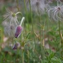 취약계층지역4 | 서초구 반딧불 하우스: 주거 취약 계층의 삶을 환하게 밝힌 생생한 후기와 기적 같은 변화의 기록
