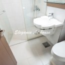 이스타빌 이미지