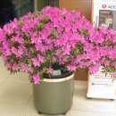 조이플라자 이미지