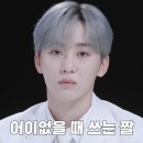세븐틴 2025 [캐럿랜드] 후기