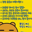 쌍용스토아 이미지