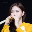 족장 이미지