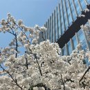 수지구청역서울탑본의원 네이버블로그