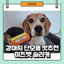 강아지 단모용 빗 추천 - 미즈펫 슬리커 내돈내산 후기