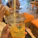 로컬 발마사지 &gt; 나트랑 발마사지 맛집,마리아나 퀸 스파 내돈내산 솔직후기Maryana Queen Spa (feat. 🐶🐱)
