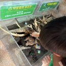 아산시생활자원회수센터 | 아산 아기랑 아이랑 가볼만한곳 나들이 곤충 나비 체험 생태곤충원 식당 그린타워 장영실과학관