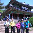 대양초교 이미지