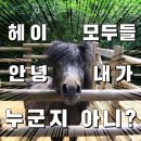 에스브로우 - 도봉구 마들로 676-1 | 에스브로우