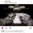 엘리에나호텔 본식스냅 : 글리밍모먼트 스냅