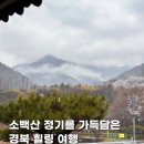 H2112 | ⛰️소백산의 정기를 느낄 수 있는 경북여행, 소백산 준 스테이