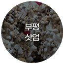 샷업 네이버블로그