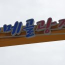 설악눈메골시장 이미지