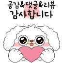 헤이독(HEY-DOG) 이미지