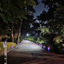 청사초롱 - 서귀포시 중정로 12-8 | 청사초롱