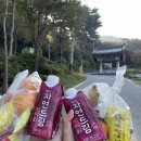 도비마루