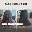삽량로 | 양산미용실 모스트헤어 양산범어점 톤다운 염색 후기