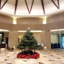 새동촌식당 이미지