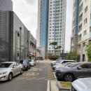 미스터피자 일산탄현점 이미지