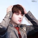 나무현 이미지