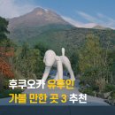 코미코 | 후쿠오카 유후인 여행 가볼 만한 곳 당일치기 (킨린 호수, 불산사, 코미코 미술관, 자전거 대여)