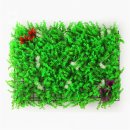 풀꽃유치원 이미지