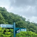 율곡수목원(4) | 파주 가볼만한 곳 추천 파주 율곡수목원 후기_ 가족들과 산책하기 좋은 곳💓 (feat. 법원읍 해바라기 축제)