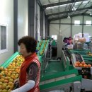 남밀양농협 초동지점 이미지