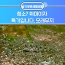 (주)모래무지 네이버블로그