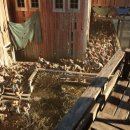 더 데이즈(The days) 이미지