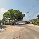 충신 유지걸 정려 이미지