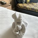 하티젤 | 발리 아야나저녁 짐바란비치 하티쿠 해산물식당 워크인방문후기