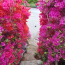 연주펜션 이미지