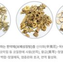 배원에너지 네이버블로그