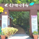당진야생화