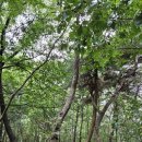 골안 약수터 이미지