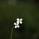 선바위골프랜드 이미지