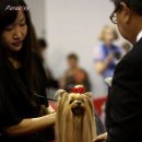 파라키스
