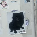 옥수풀빌라 | [2025] 8월