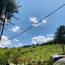 두밀숲캠핑장 이미지