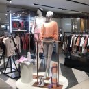 신세계바이크 이미지