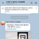 스테이더딜라잇 이미지