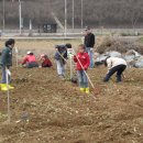 미숙농장 이미지