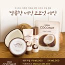 코코넛 이미지