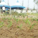 근원농장 이미지