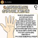 청춘자동세차 | 24.11.18 - 24.11.24, 끊임없는 일의 연속