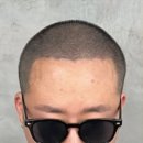 일러스라인 이미지