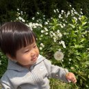 더힐글램핑 이미지