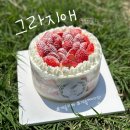 그라지애 | [계룡/카페] 계룡수제케이크 맛집 베이커리 카페 그라지애