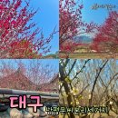 씨유본리점 | 대구 매화 남평문씨본리세거지
